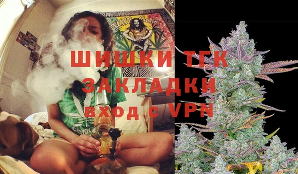 крисы Козловка