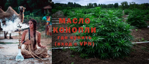 крисы Козловка