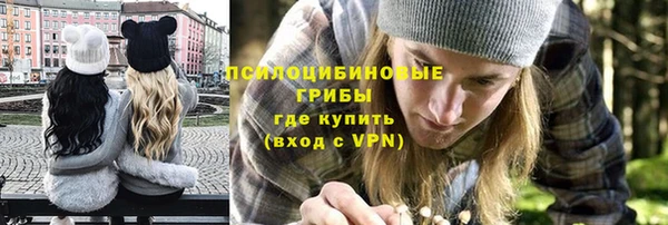 крисы Козловка